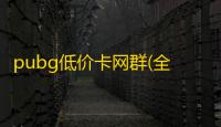 pubg低价卡网群(全网最低价绝地求生)